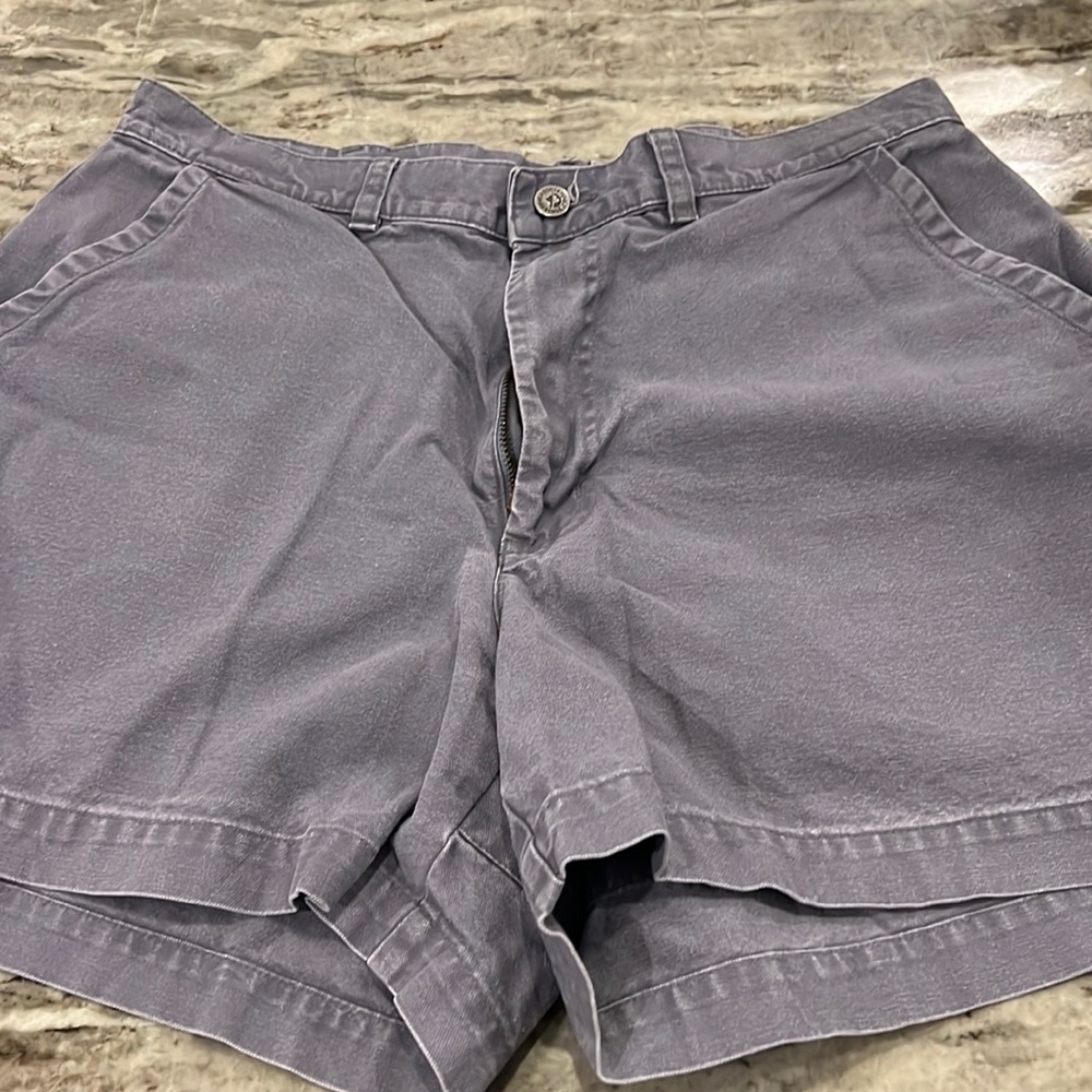 Patagonia 5in Stand Up Shorts
